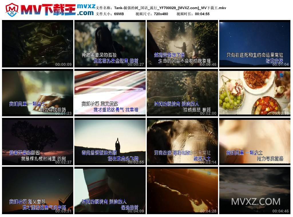 Tank-倔强的树_国语_流行_YF700029